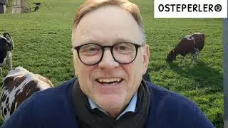 OSTEPERLER smaker Jærsk Havsletteost