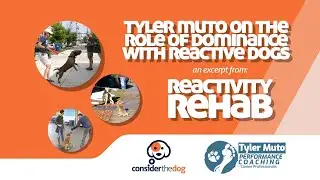 The Role of Dominance with Reactive Dogs | Tyler Muto Excerpt