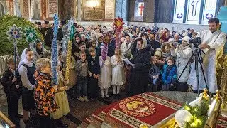 Дети-христославы