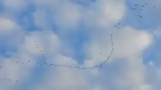 24 сентября 2024 г.