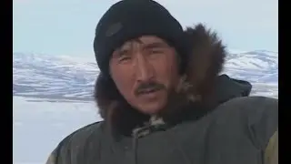 Охотники студёных берегов.