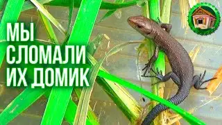 🍒DESTROYED THE NEST OF DINOSAURS. Found what Was in the Soviet Union each in the Fridge. Walk aroun