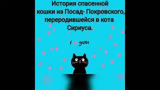 Он ждёт именно тебя 🫶