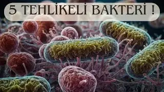 Gıdalarda En Çok Karşılaştığımız 5 Tehlikeli Bakteri | Mikrobiyoloji