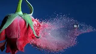 Музыка Природы! Музыка Сергея Чекалина! Божественная музыка, способная тронуть Сердце!