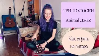 Три полоски КАК ИГРАТЬ НА ГИТАРЕ Animal ДжаZ