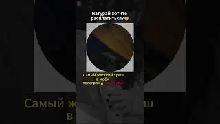 Самые отбитые видео в тг: @zdecper  #треш #фрося #трешновость #блогеры