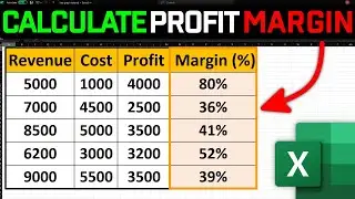 How to Calculate Profit Margin in Excel FAST!