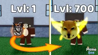 I Went Noob to Master as Monkey AND Change to Random Fruit every 50 Levels in Meme Sea!