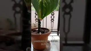 SAMSUNG M30S SUPER SLOWMO #shorts