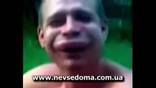 Ты пчела я пчеловод пародия