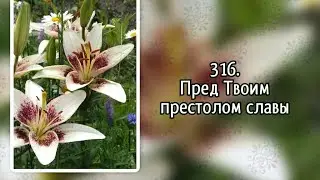 Гимны надежды 316 Пред Твоим престолом славы (-)