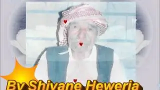 strane shingali pir Guro daka kacke shengaly yezidi shvan haweri muzka kurdi yezidi
