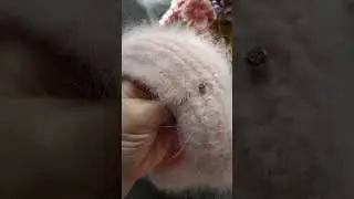 Берет детский вязаный     Mom's Kitty из Итальянской Ангоры.