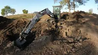 1 Year Wait To Clean a 70+ Year Old Pond