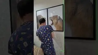 нам очень понравилось 