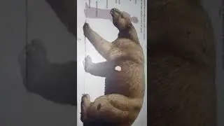 Мы попали в ЛЕДНЕКОВЫЙ ПЕРЮТ! КАК ЖЕ ВЫБРАТСЯ?