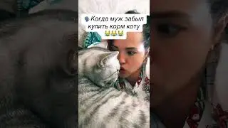 Кот сегодня без еды😹