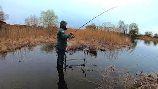 I caught a carp on the first cast!!! Fishing in wild places.