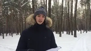 Исследование физико-химических свойств талых вод (снега)