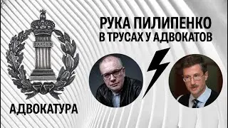 Рука Пилипенко в трусах у адвокатов