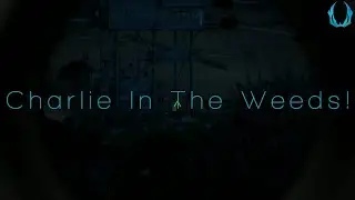 Arma 3: Exile Ep4. - Charlie In The Weeds!