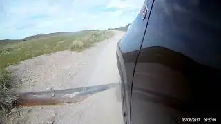 Jeep Renegade TrailHawk cutting through Topaz Rd to the claim