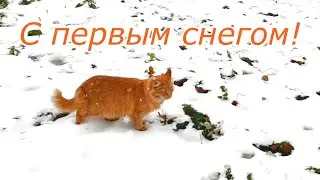 С первым снегом! Чудесного, пушистого настроения! Поздравление.