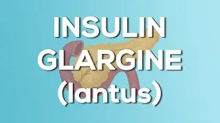 Insulin Glargine (Lantus / Toujeo) Nursing Drug Card (Simplified) - Pharmacology