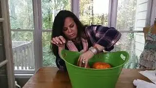 FB Live How to preserve your pumpkins DIY