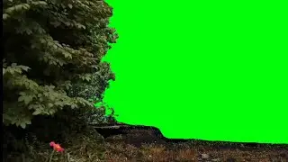 wind blowing leaves green screen