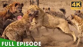 Savage Kingdom (FULL EPISODE) | Deadliest Battles for Survival | Nature Animal Documentary