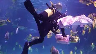 Океанариум СКК Галактика