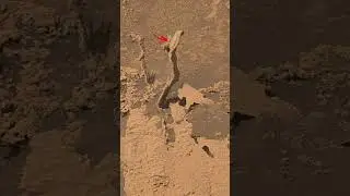 Wind carved serpent on Mars, revealing Martian landscape formation over time