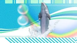 Fruity Guerrero (2024, Drill and Bass)