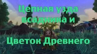 Цепная узда всадника и Цветок Древнего или как стать орком из клана Песни Войны и деревом
