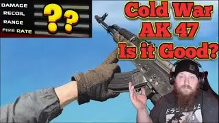 IS THE COLD WAR AK 47 GOOD? | CALL OF DUTY : WARZONE