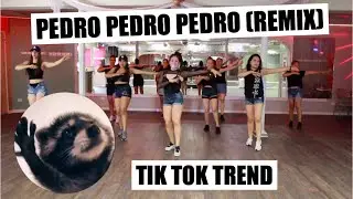 PEDRO- Jaxomy, Agatino Romero, Raffaella Carra (Tik Tok Song)