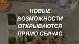 Tarot reading for men. New Opportunities 💫🔆⚜