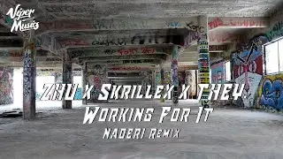 ZHU x Skrillex x THEY. - Working For It (NADERI Remix)