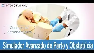 MW65Simulador Avanzado de Parto y Obstetricia Consejo