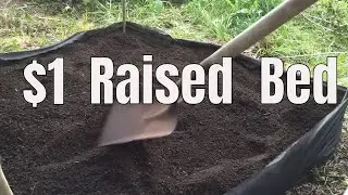 Dollar Store Gardening: Best Garden Bed for $1