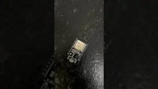 ESP 32