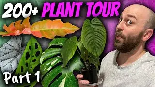I finally made a plant tour video... | 200+ Plant Tour Part 1