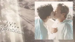 elio and oliver ◼️  more than friendship
