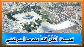 أتظن أنك عندما أحرقتني للشاعر السعودي مهذل الصقور