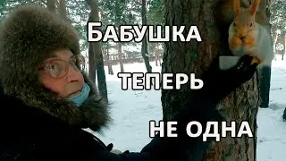Помощь бабушке и белкам. Кормушки и орехи для белок.