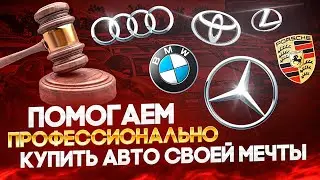 Cars from Japan I HOW TO USE THE AUCTION SYSTEM I LOOK AT CARS THAT CAN BE BUYED ONLINE