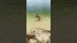 So cute!