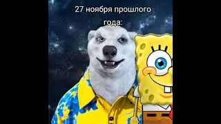 #27ноября #2022 #2023 #ходилкибродилки #губкабоб